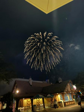 Fireworks WDW Condo